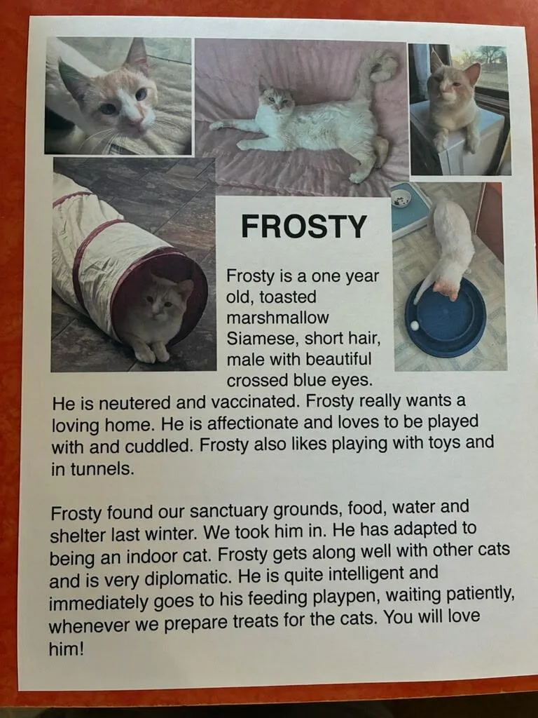 Frosty