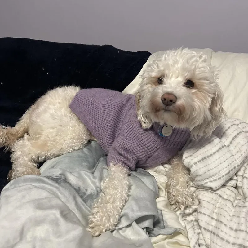 Lovey Hershey thumbnail 3