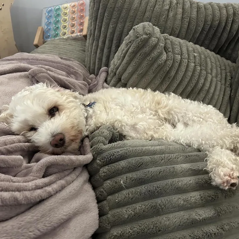 Lovey Hershey thumbnail 5