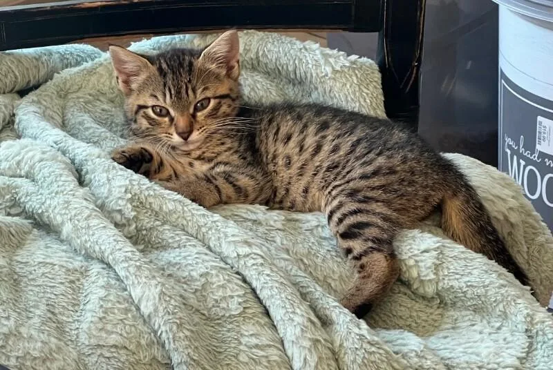 Rita