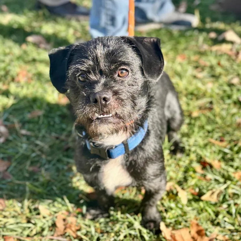 Stormy City Of Industry