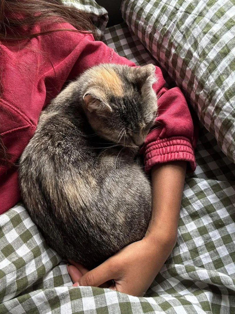 Sprinkles thumbnail 2