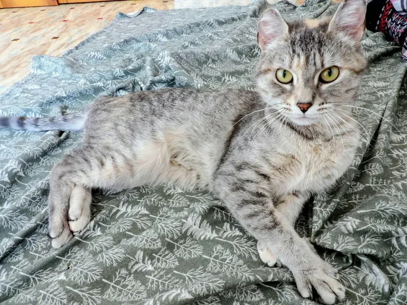 Sprinkles thumbnail 5