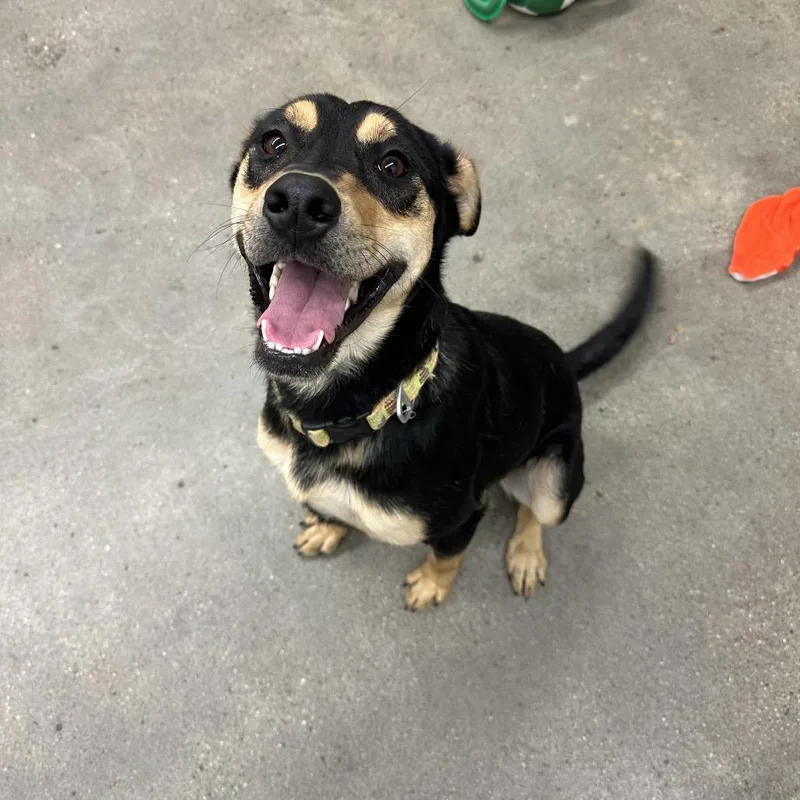 Peter Barker  The thumbnail 2