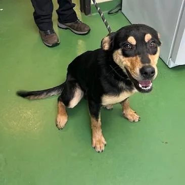 Peter Barker  The thumbnail 3