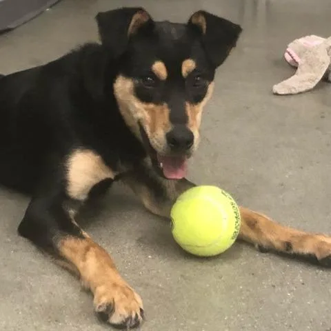 Peter Barker  The thumbnail 4