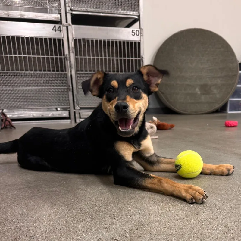 Peter Barker  The thumbnail 5