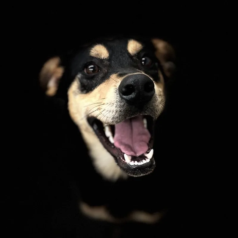 Peter Barker  The thumbnail 6