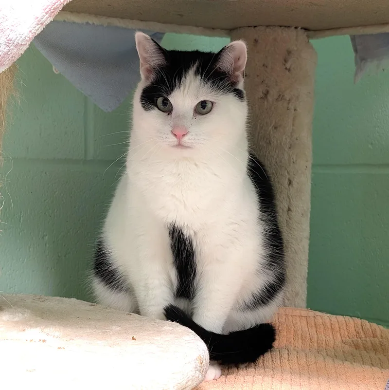 Matilda And Milton thumbnail 2