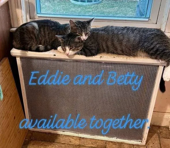 Betty And Eddie