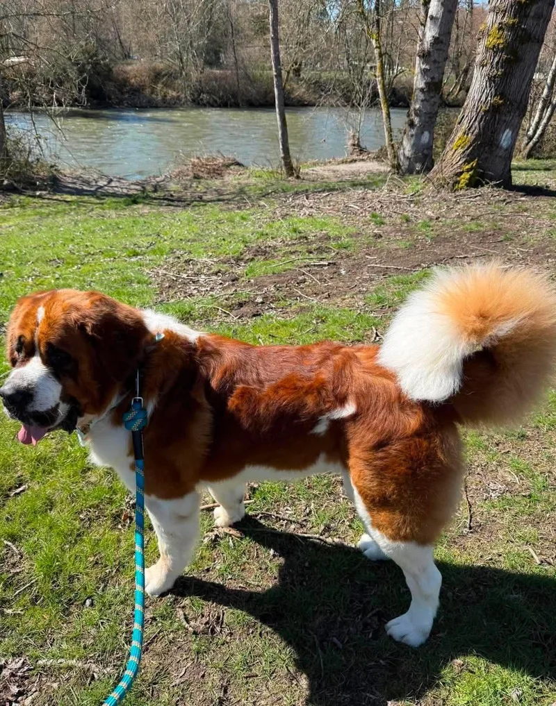 Duke