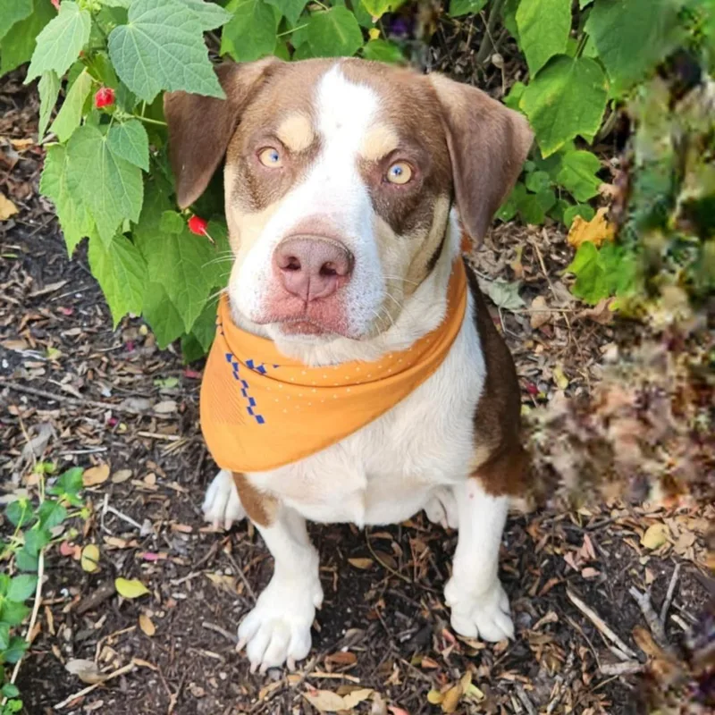 Calvin Jum thumbnail 2