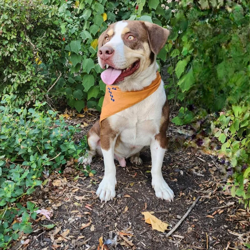 Calvin Jum thumbnail 3