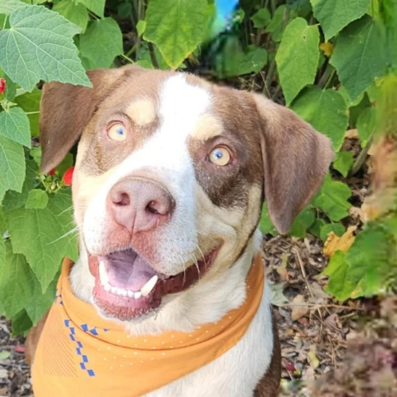 Calvin Jum thumbnail 4