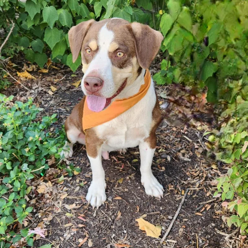 Calvin Jum thumbnail 5