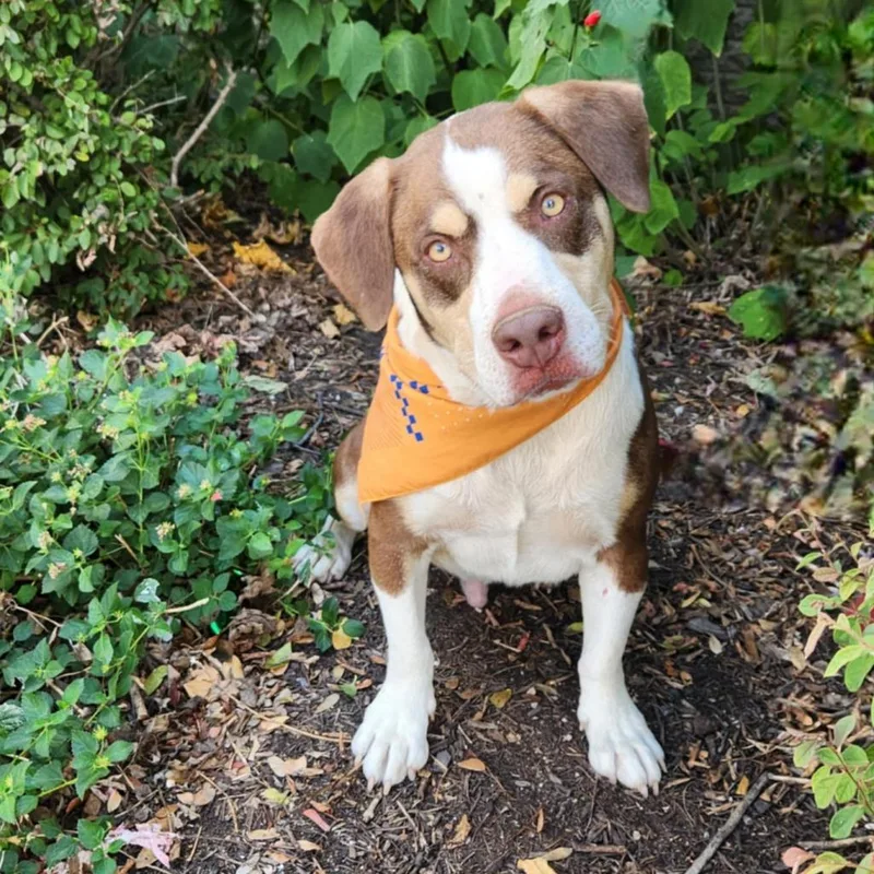 Calvin Jum thumbnail 6