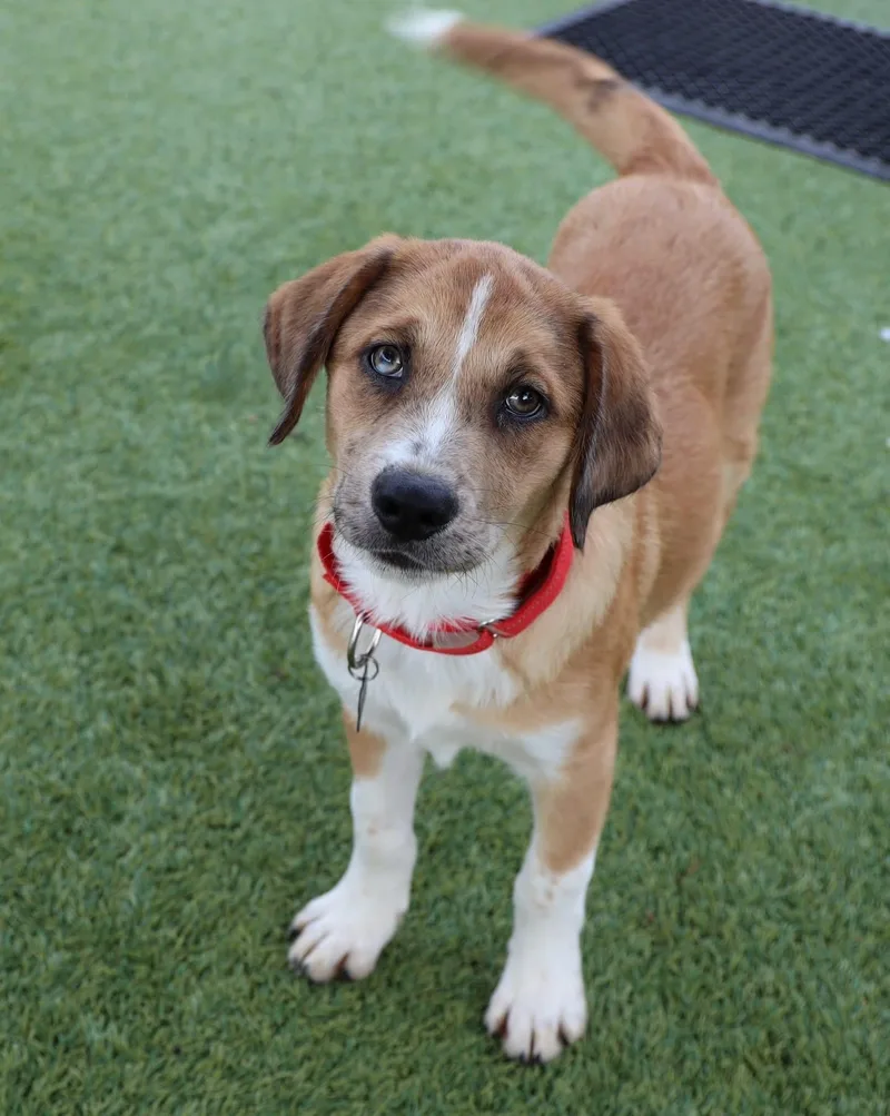 Crockett thumbnail 3