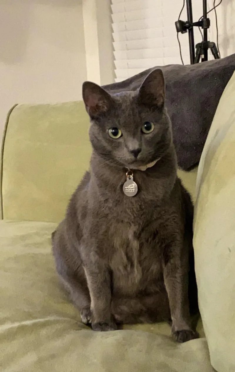 Jaspurr thumbnail 2