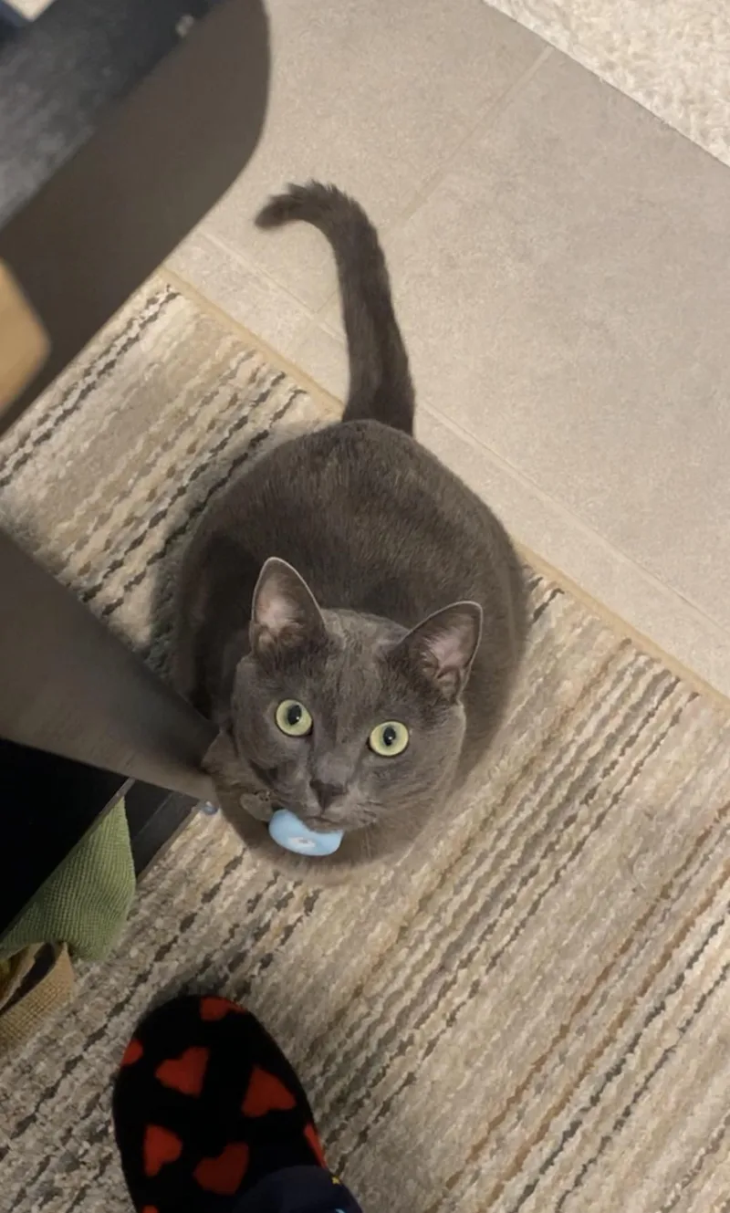 Jaspurr thumbnail 5