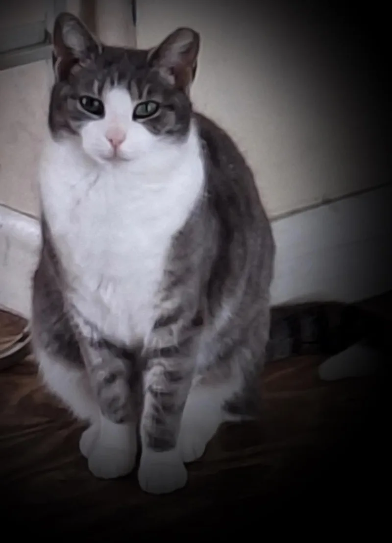 Baby Girl thumbnail 2