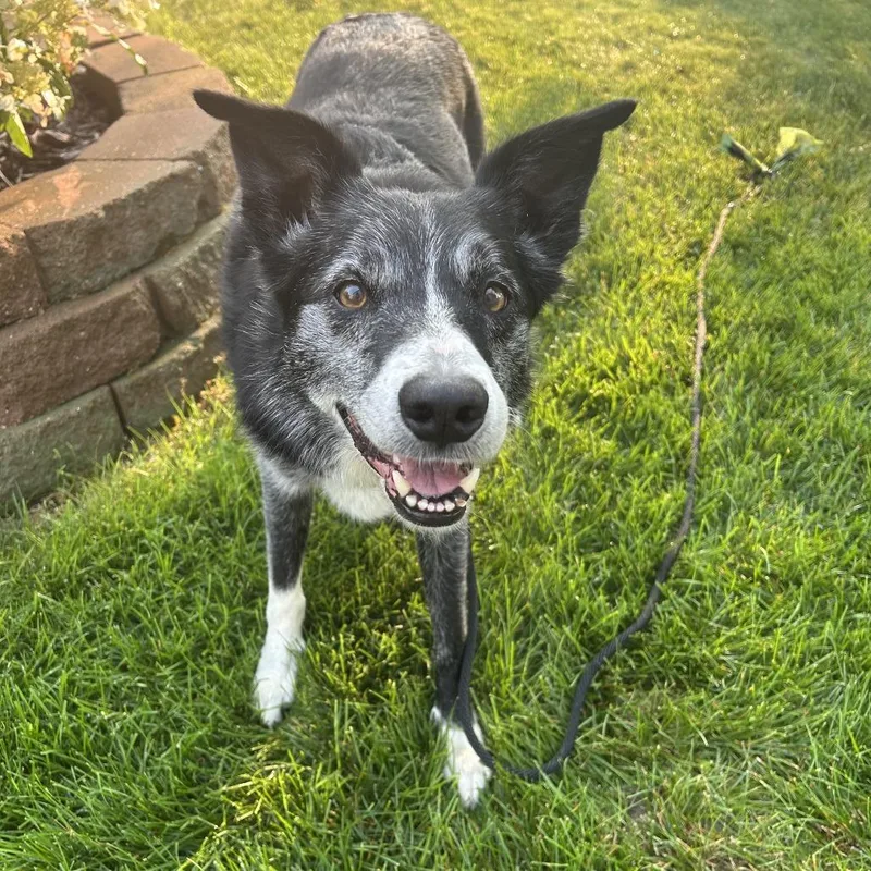 Negan