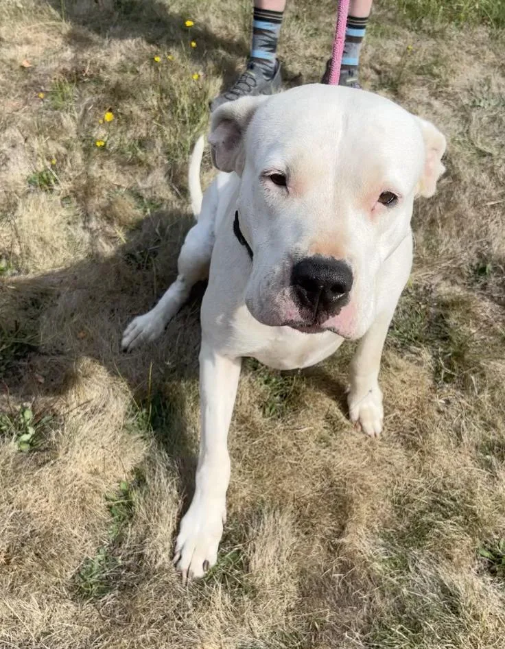 Luna Located in Portland