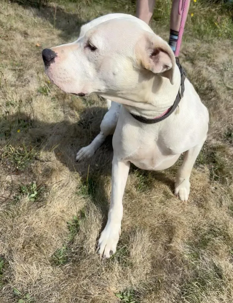 Luna Located in Portland thumbnail 2