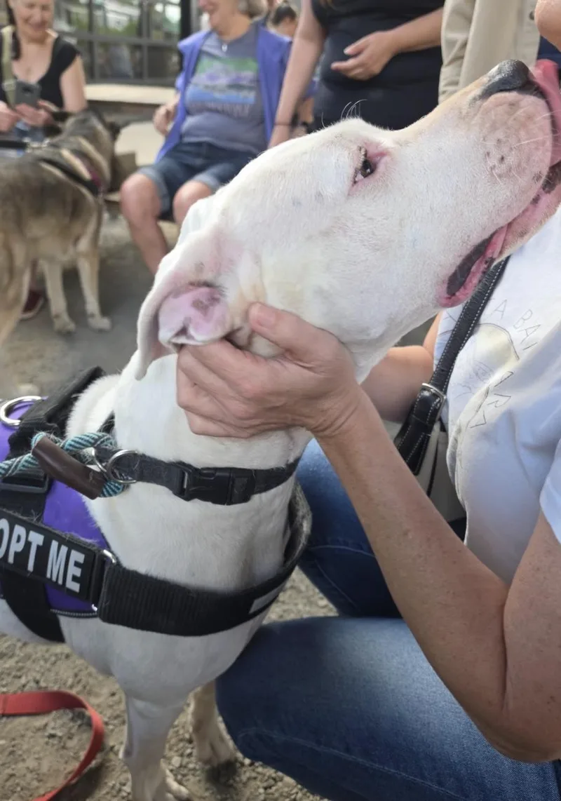 Luna Located in Portland thumbnail 3