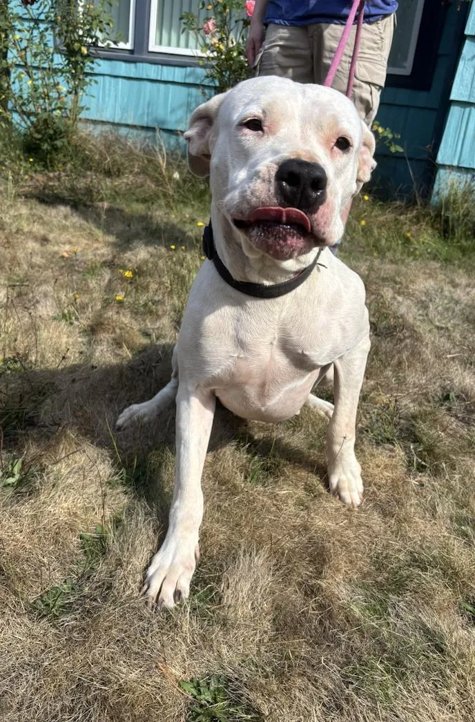 Luna Located in Portland thumbnail 4