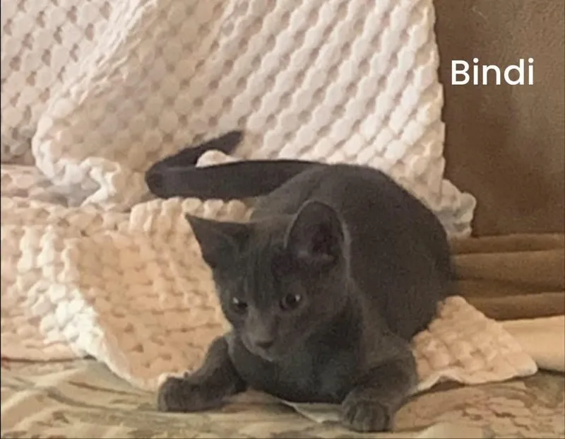 Bindi and Minnie thumbnail 2