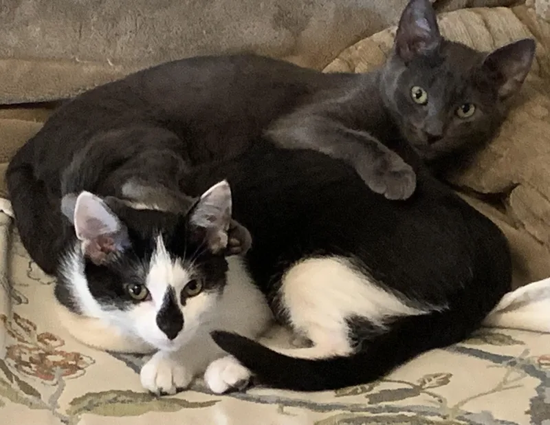 Bindi and Minnie thumbnail 3