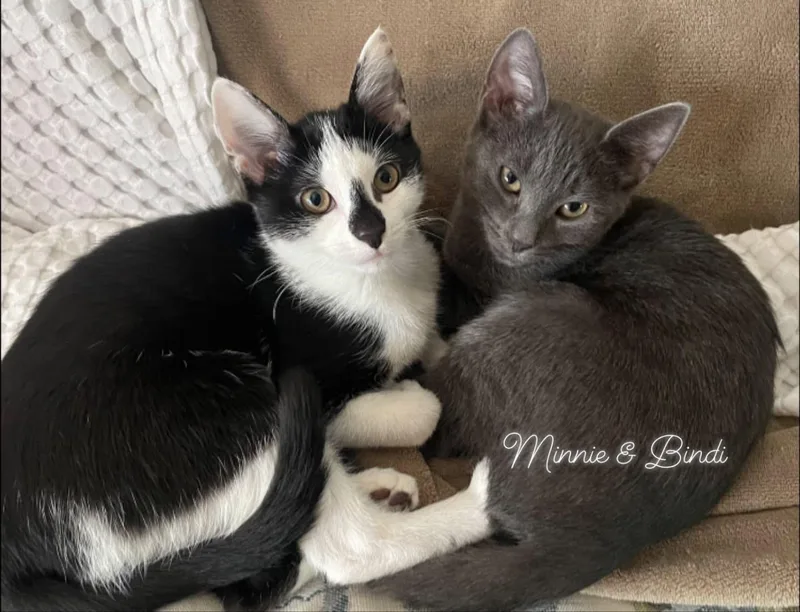 Bindi and Minnie thumbnail 5