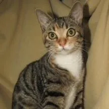 Marishka thumbnail 2