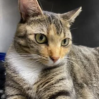 Marishka thumbnail 3