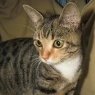 Marishka thumbnail 4