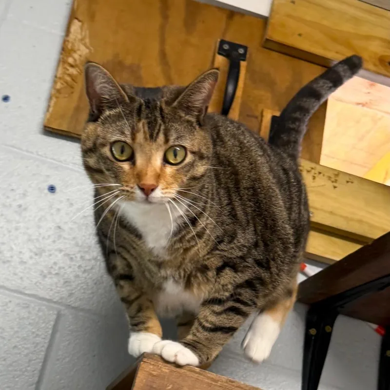 Marishka thumbnail 5