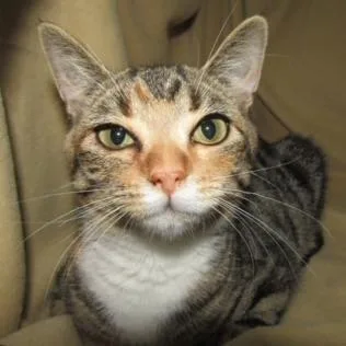 Marishka thumbnail 6