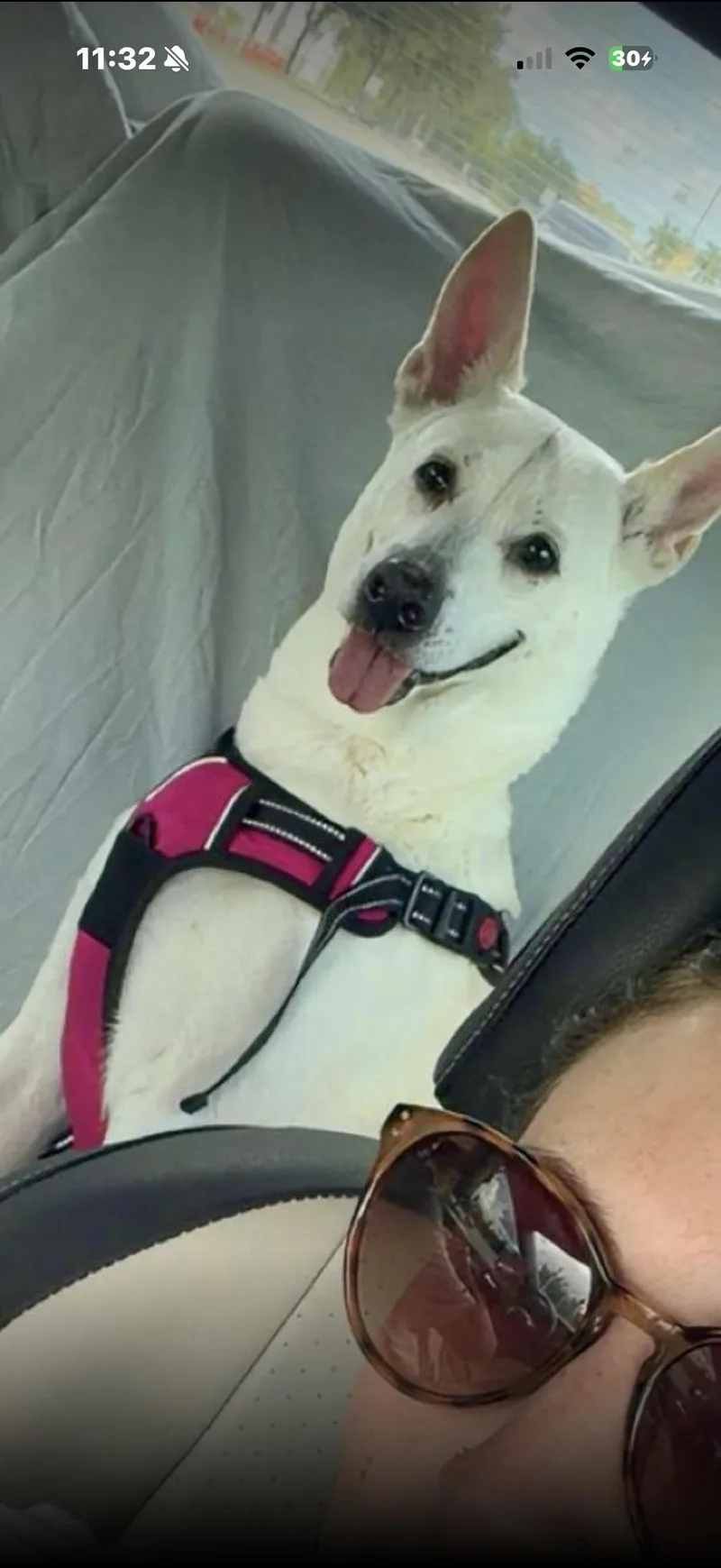 Lucy