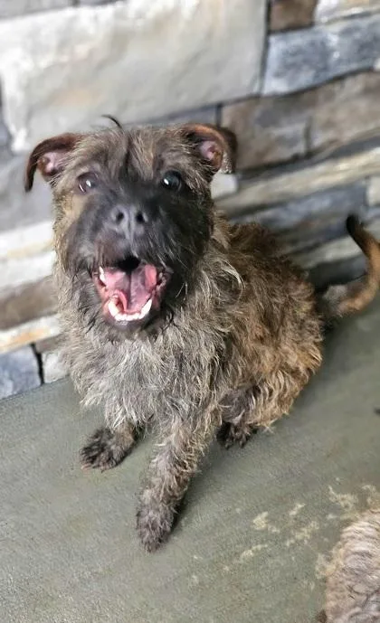 Charlotte thumbnail 3