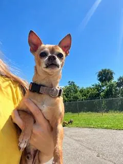Sonny thumbnail 2