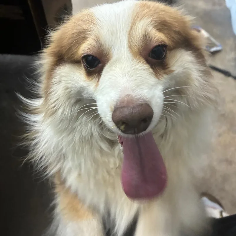 Ben