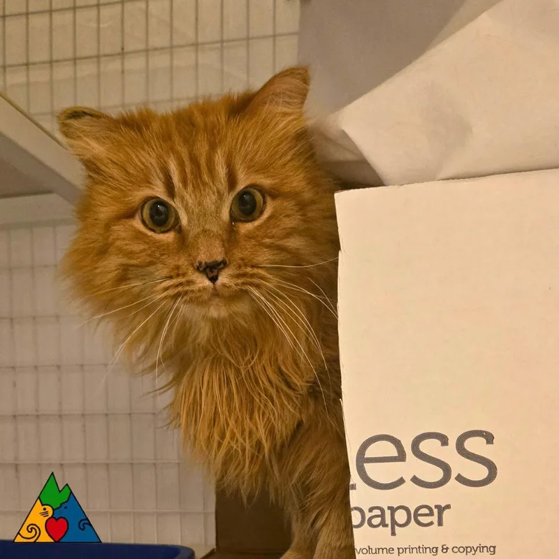 Charming thumbnail 2