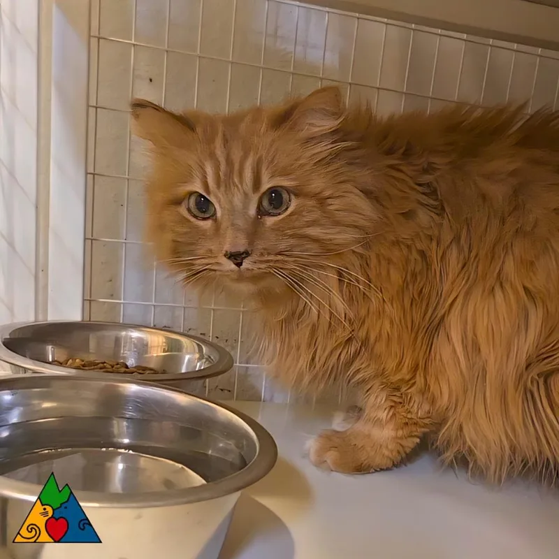 Charming thumbnail 3