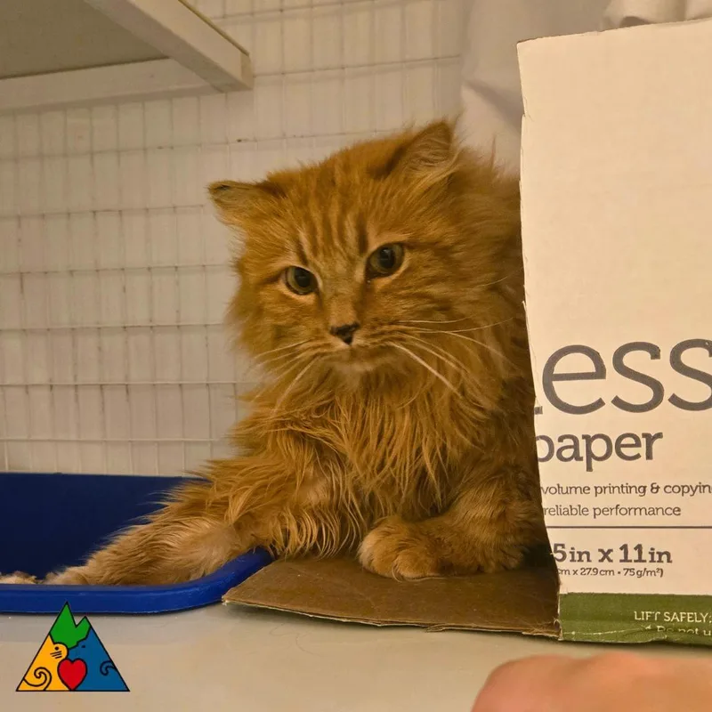 Charming thumbnail 4