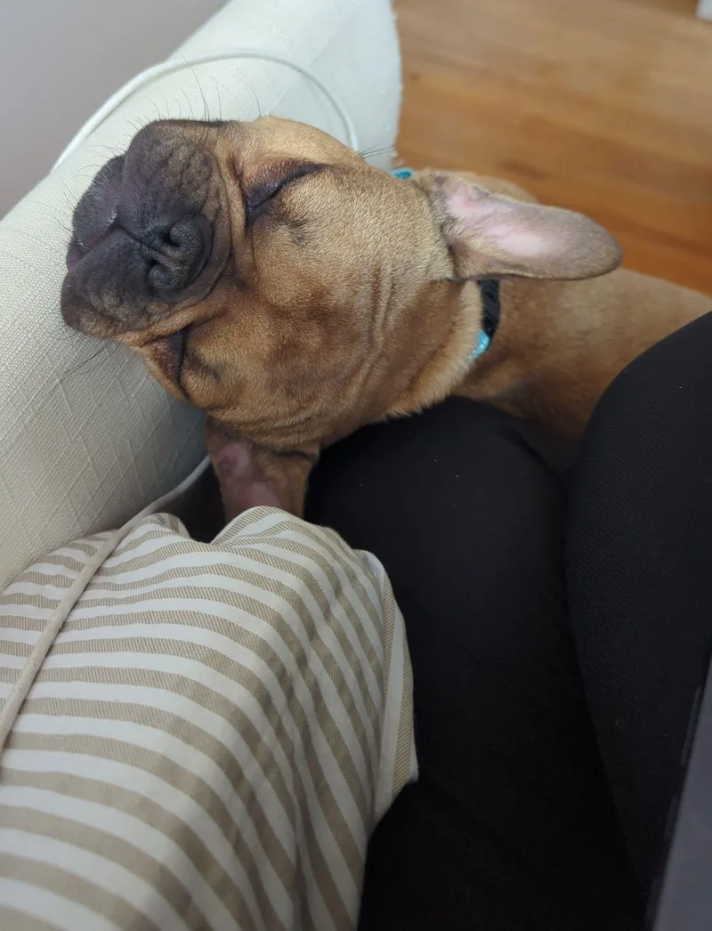 Isabelle thumbnail 3