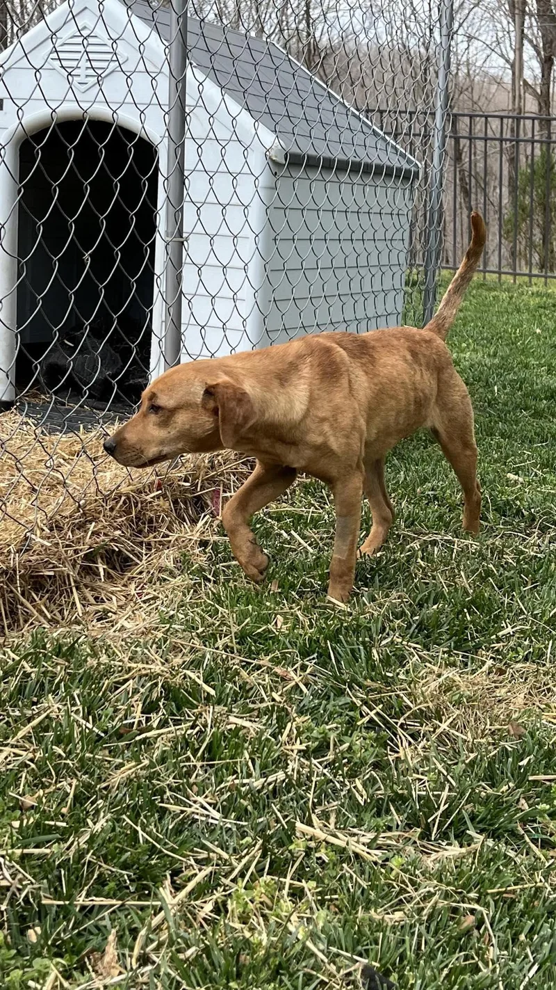 Danny.....fee Sponsored thumbnail 2