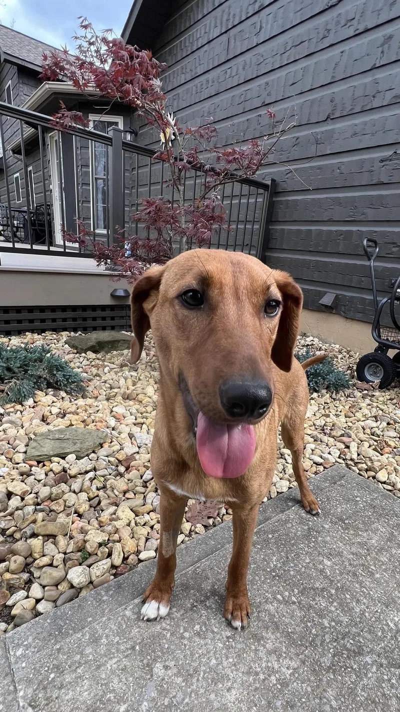 Danny.....fee Sponsored thumbnail 3