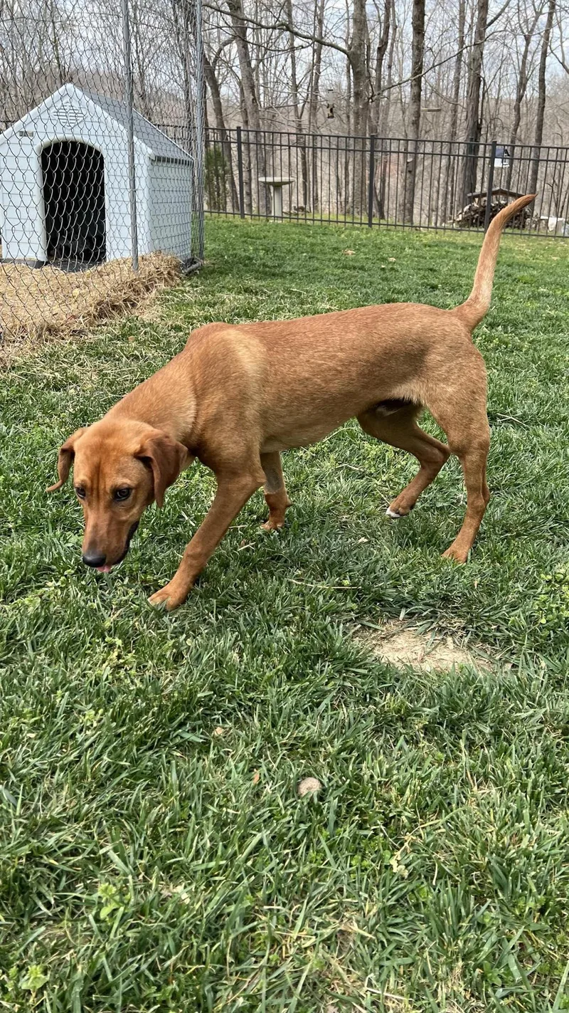 Danny.....fee Sponsored thumbnail 4