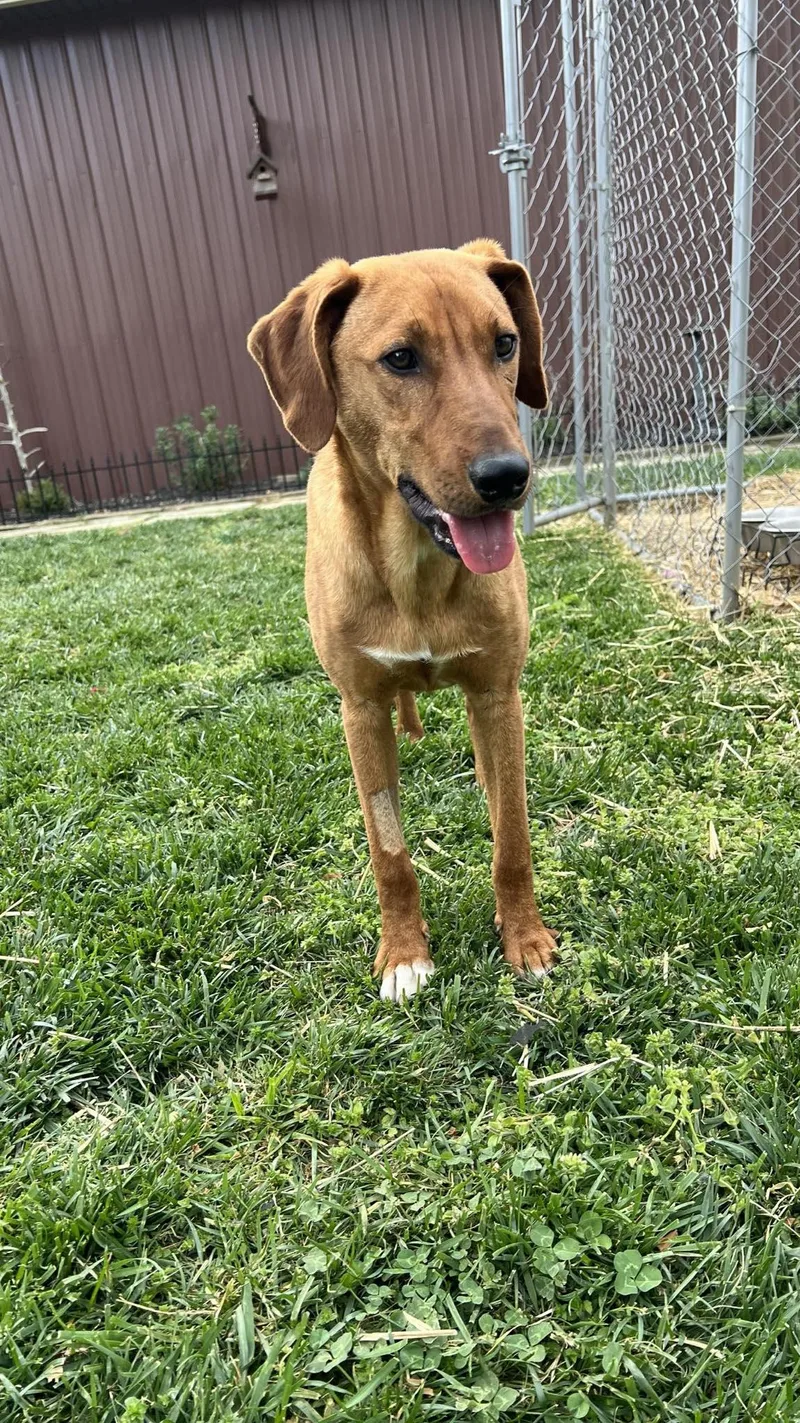 Danny.....fee Sponsored thumbnail 5