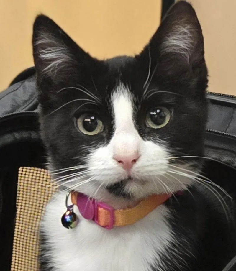 Leaf & Bean thumbnail 2